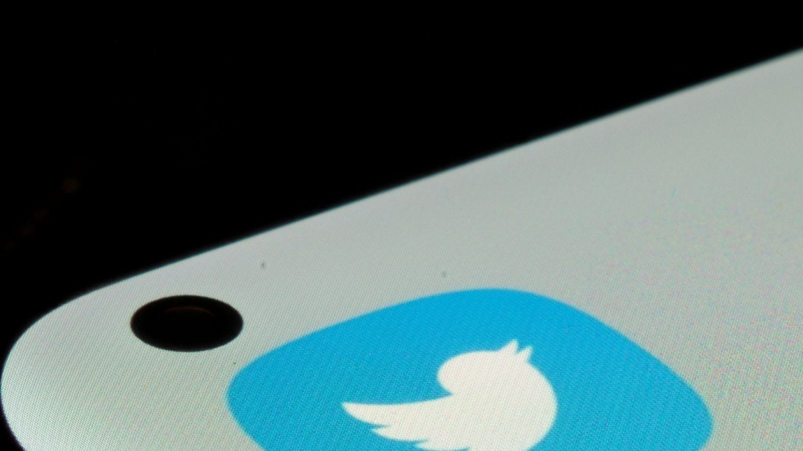 How To Save Twitter Videos On Your iOS Or Android Phone: Step-by-Step Guide