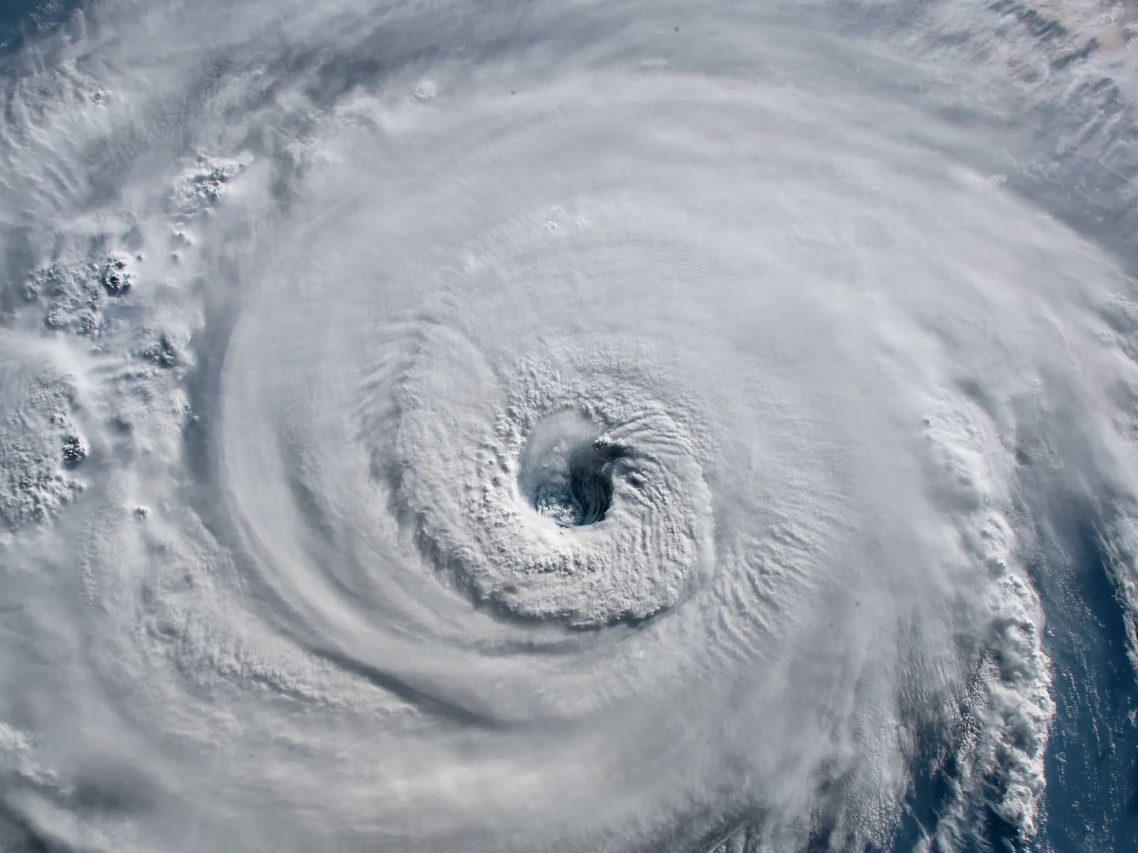 Eye Of The Storm Sailing Drone Gives Brand New View Of Devastating Hurricane Sam