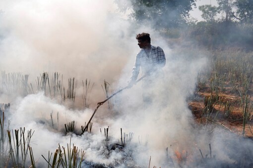 India's crop burning accounts for 15% of global emissions during 2015-2020. (File photo: REUTERS/Amit Dave)
