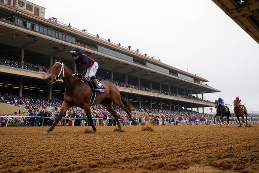 rotphiladelphia - Blog