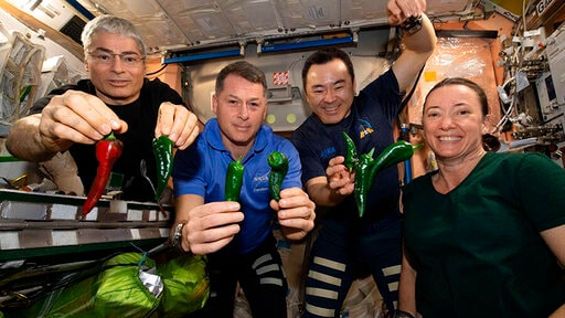 Astronot Empat Stasiun Menangkap Perjalanan Dengan SpaceX Kembali ke Rumah