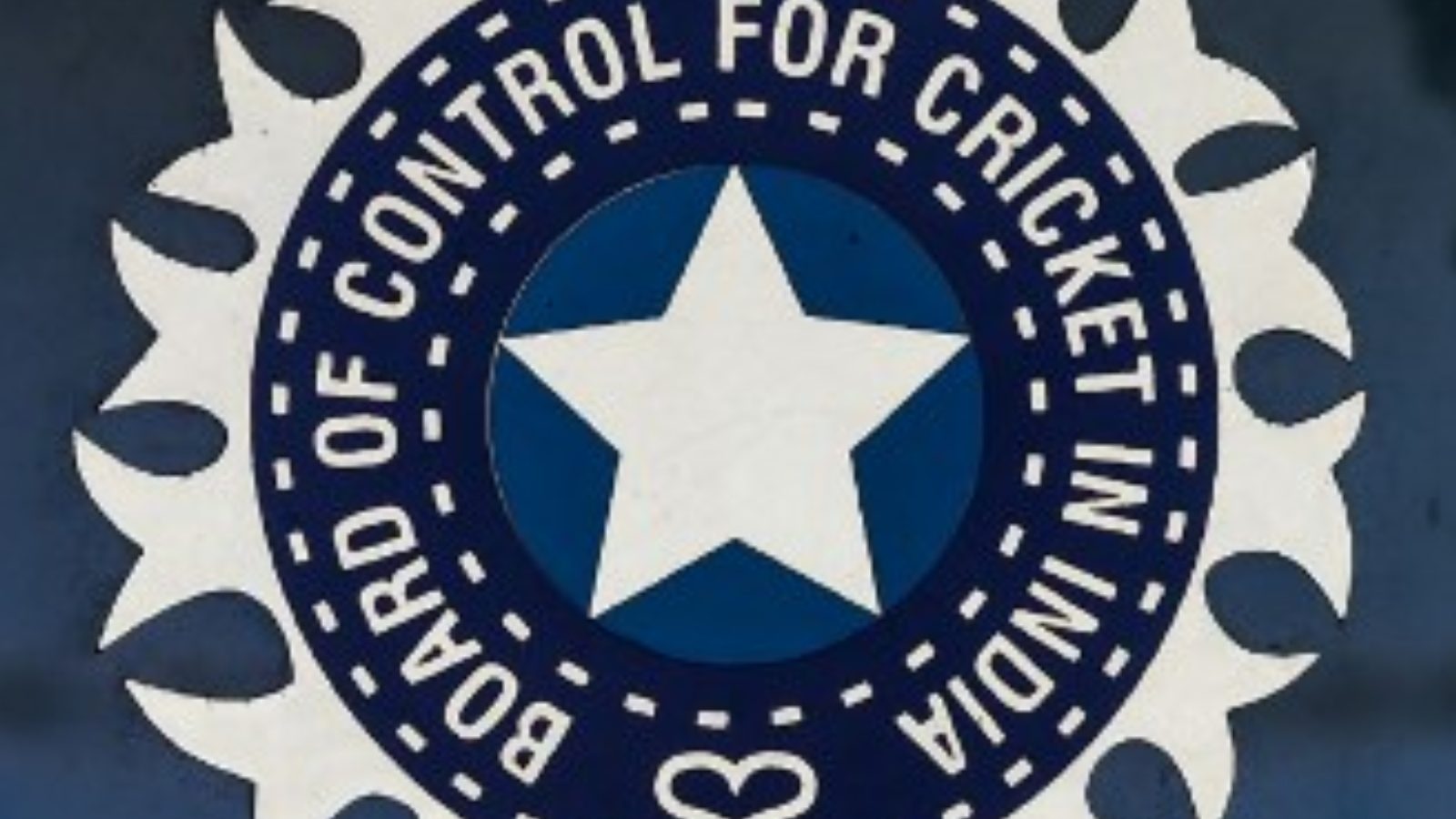 Pertama, BCCI Membentuk Komite untuk Pemain Kriket Berkemampuan Berbeda