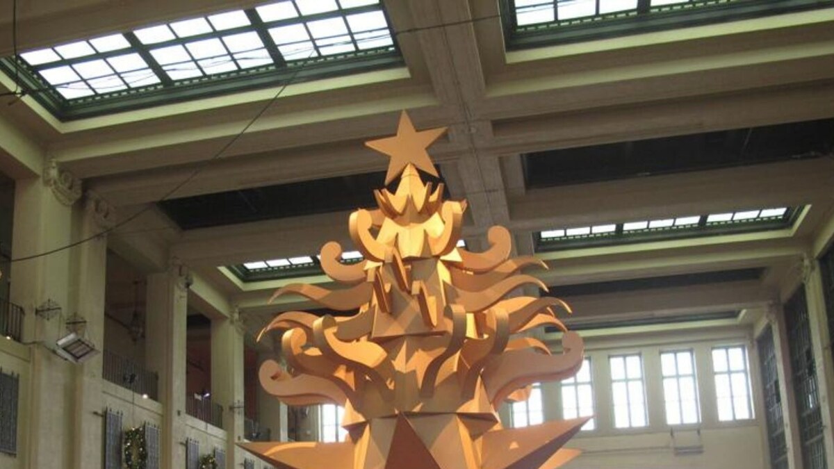 Amazon Package or Art? This Cardboard Christmas Tree in US Town Starts