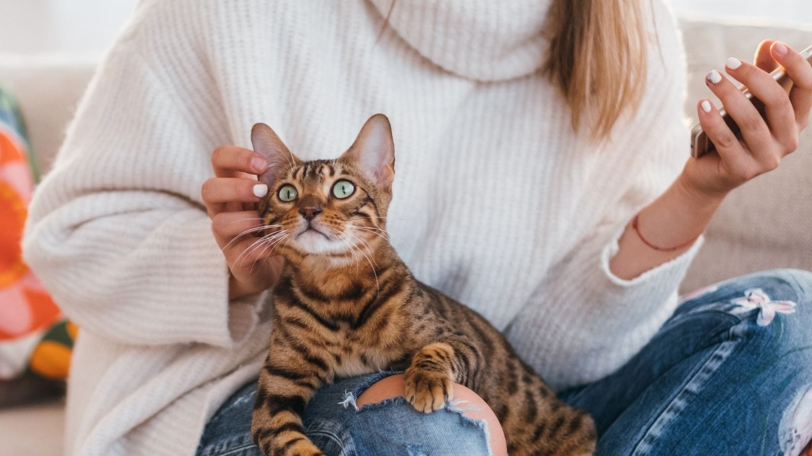 Cats Can Track the Location of Their Owners Through Voice Cues, Finds Study