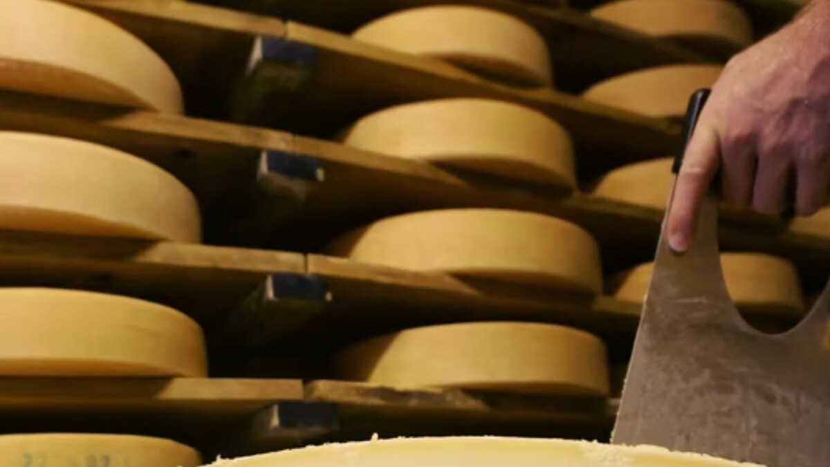 New Cheeses on the Block: Paneer Takes Over US Dairy Market; India Warms Up to Pecorino, Feta