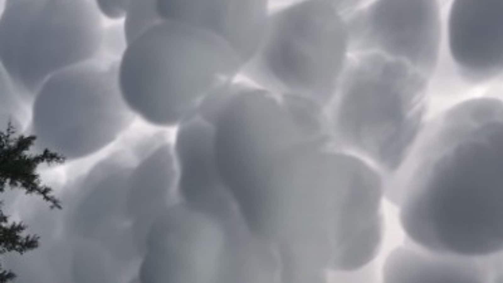 Video viral de nubes esponjosas y algodoneras en Argentina sorprende a Internet