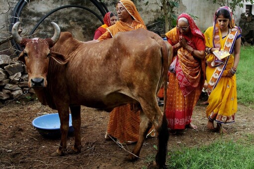 FILE PHOTO: Women worship a cow, an animal held sacred by Hindu beliefs, to seek blessing for their male child during Bach Baras festival in Ajmer, India August 29, 2016. REUTERS/Himanshu Sharma/File Photo 