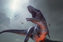 New Species Of Dinosaur With Large 'Bulbous' Nose Discovered in UK