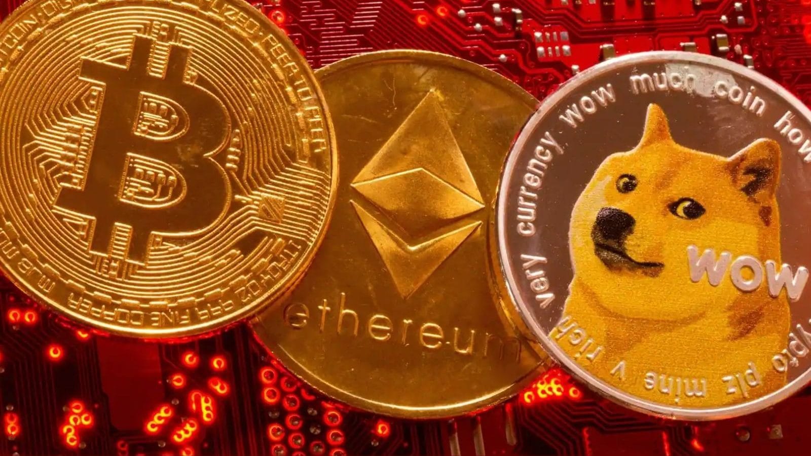 cryptocurrency news 2021 puppy