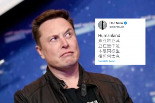 Elon Musk tweets Chinese poem in apparent reference to Dogecoin-Shiba Inu rivalry. (File image)
