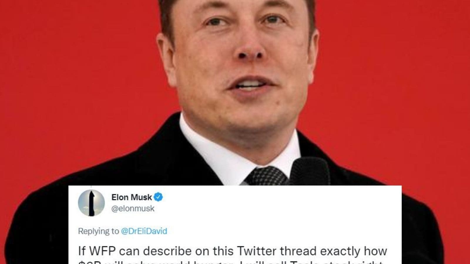 Elon musk ideologia politica