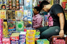 Diwali is Over, No Reason to Continue with Plea Against Delhi Govt's Firecracker Ban: HC