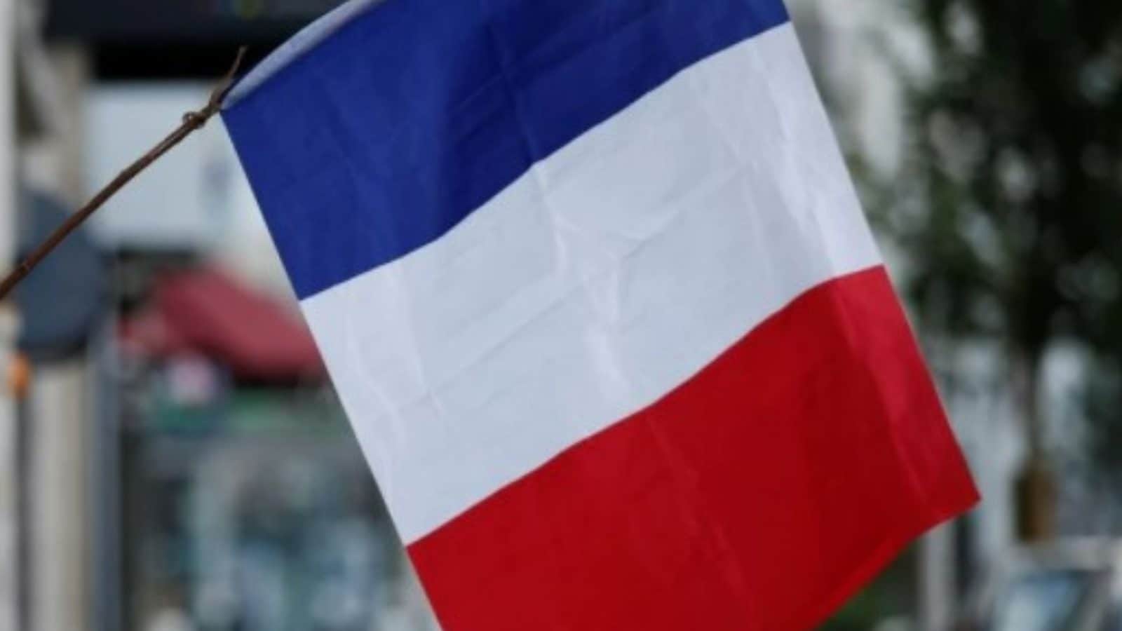 France Changed National Flag Colour And It Took a Book for People To Realise