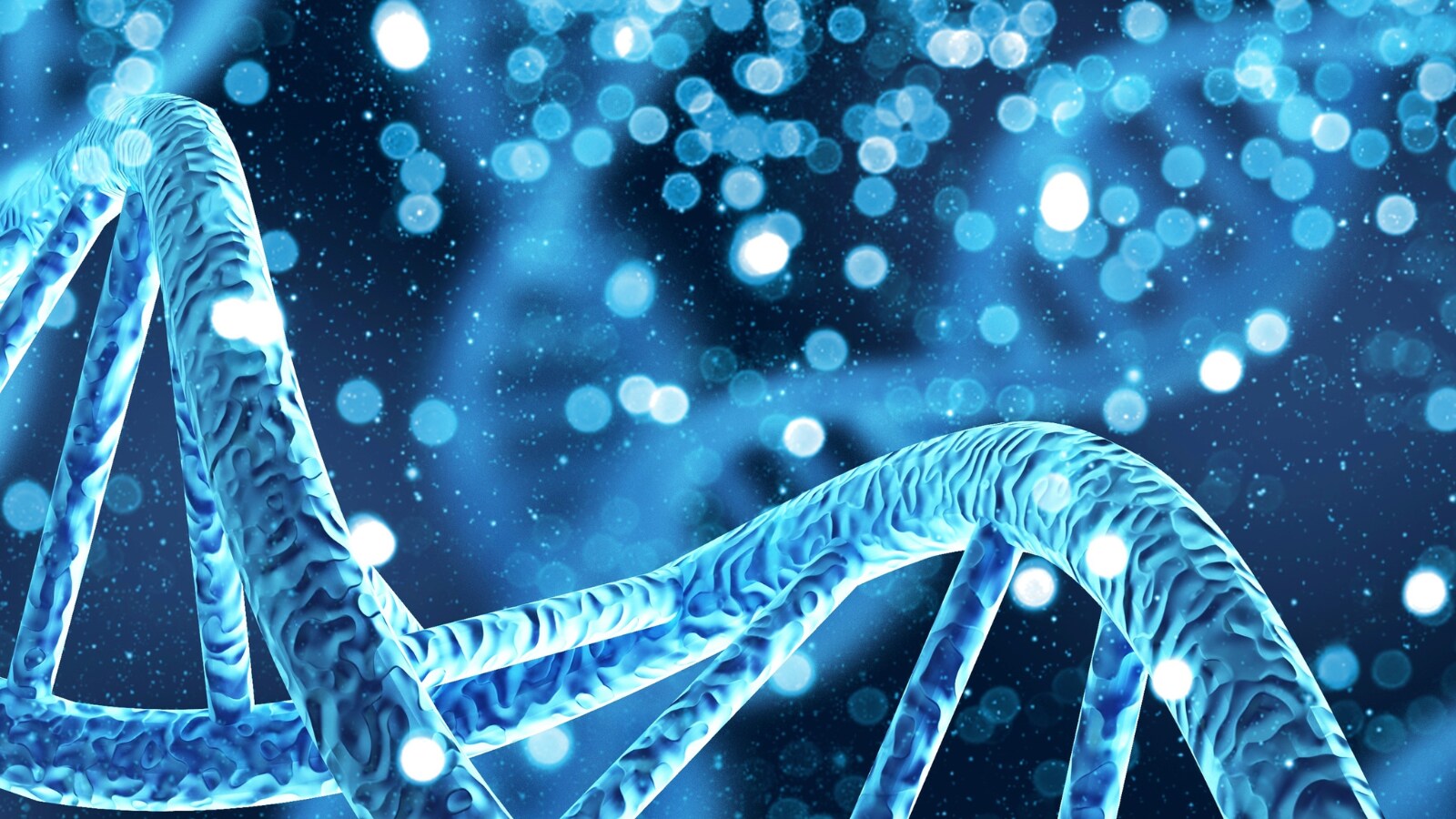 Gene 'MEF2' Linked to Cognitive Resilience in the Elderly Identified ...