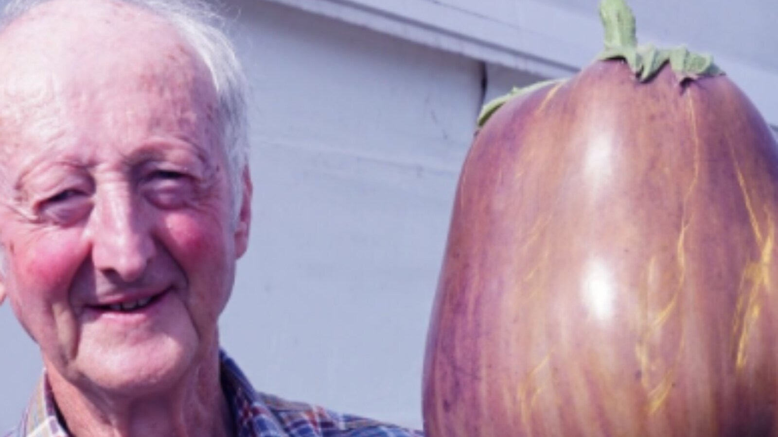 Giant Vegetable Championship? Meet the Gardeners Who Hold Guinness
