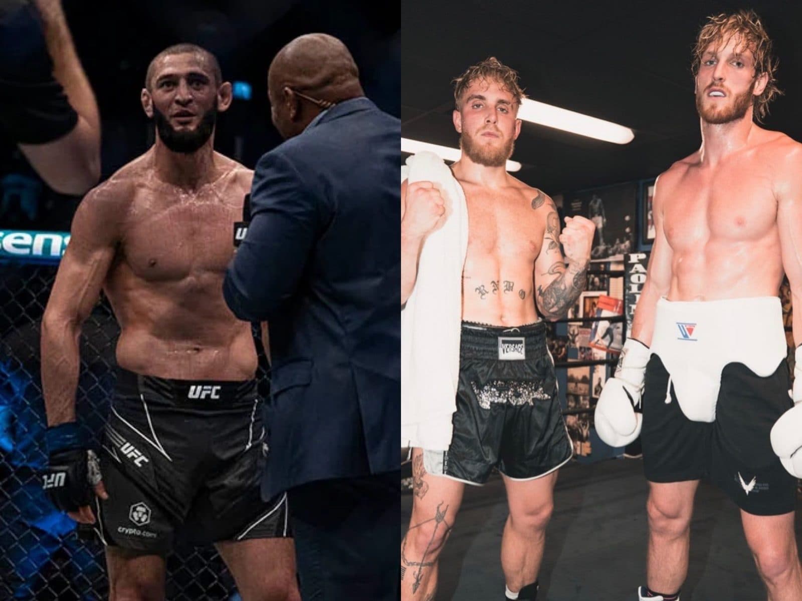 UFC stars deny Khamzat Chimaevs claim that he cant find an opponent for  next fight  Mirror Online