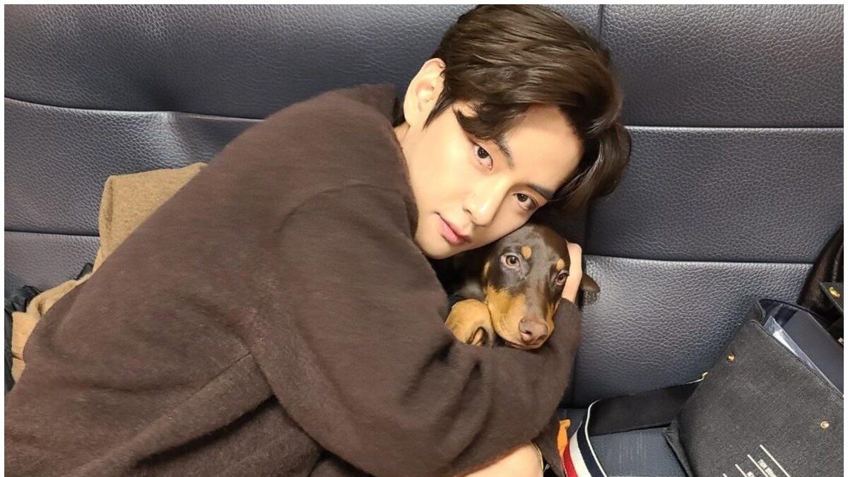BTS: Kim Taehyung Shares Photo with Jungkook's Puppy Bam, ARMYs Can't