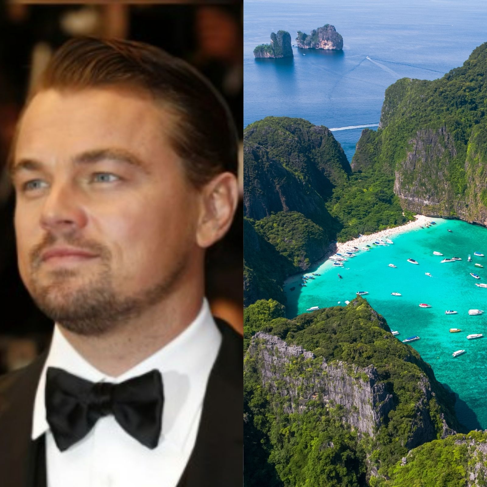 Bay Made Famous by Leonardo DiCaprio's 'The Beach' to Reopen After