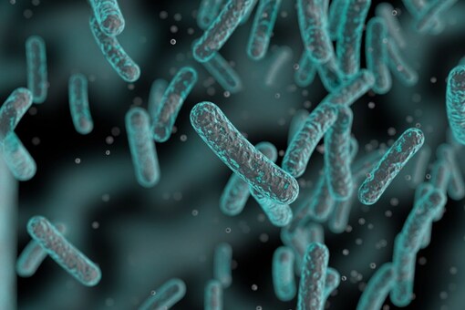 For the research, the scientists focused on one of common habitats of microbes, Precambrian cratons, known to be the oldest rocks still present today. (Image for representation/Shutterstock)