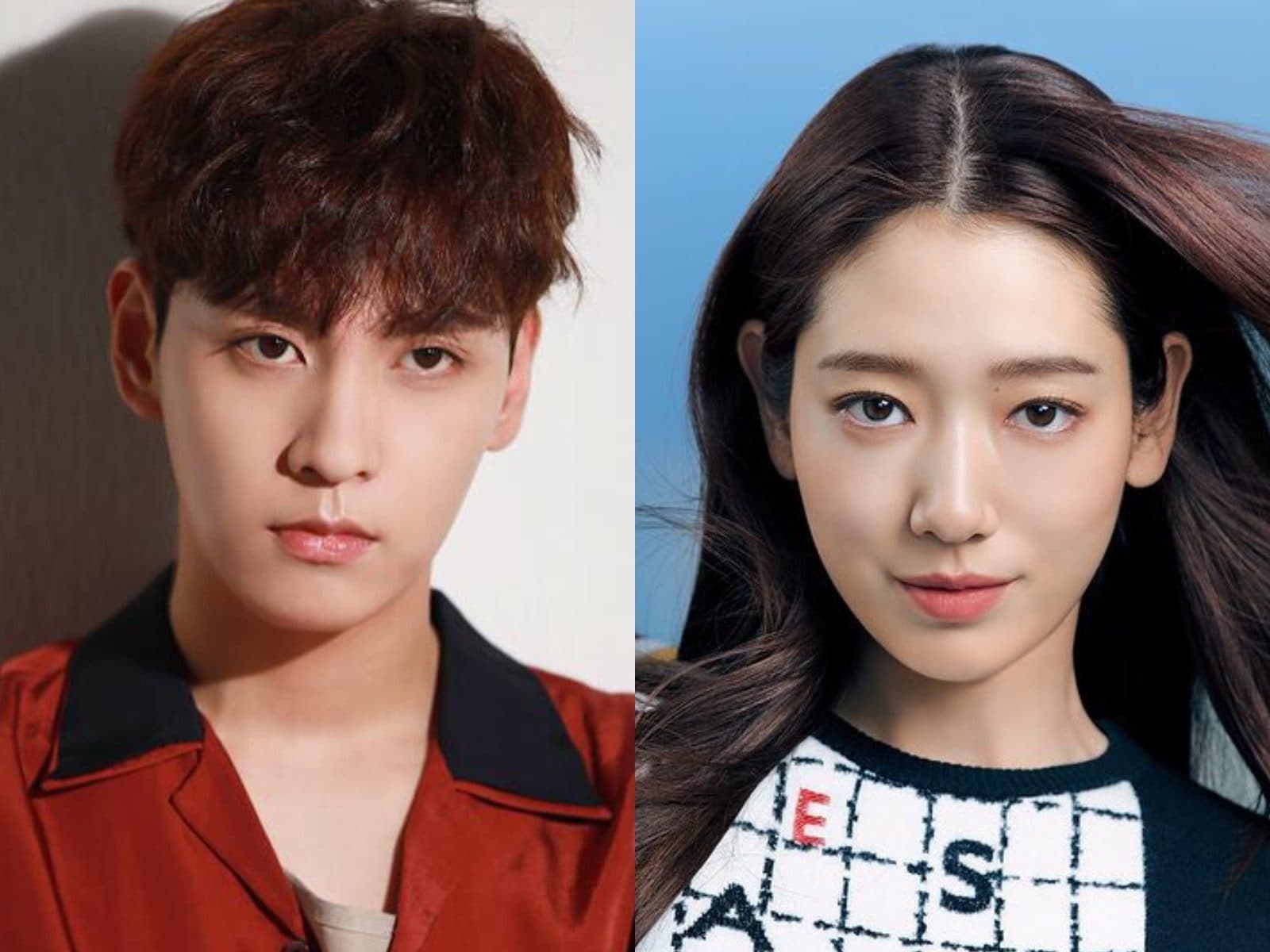 South Korean actor, Park Shin-Hye to tie the knot with Choi Tae-Joon