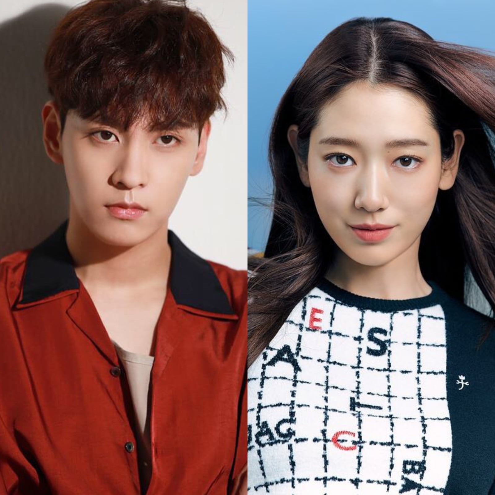 Park Shin Hye And Choi Tae Joon Are Getting Married, Expecting