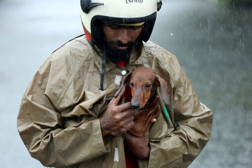 A man covers his dog as he wades through a water-logged road during heavy rains in Chennai. (Reuters/P Ravikumar)