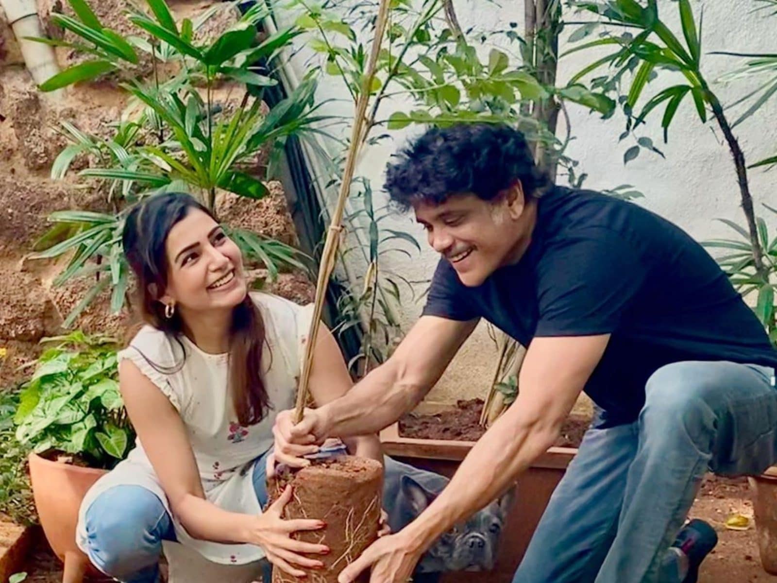 1600px x 1200px - Samantha Akkineni Visits Ex-Father-in-Law Nagarjuna's Studio for First Time  After Split With Naga Chaitanya - News18