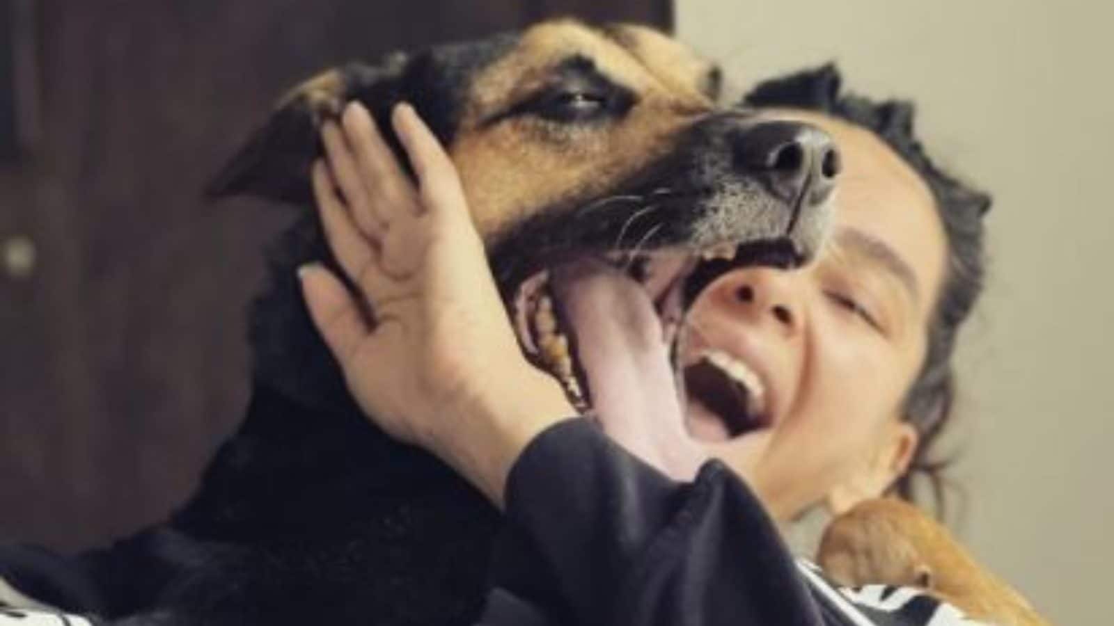 Farhan Akhtar Shares An Adorable Picture Of Girlfriend Shibani Dandekar Farhan Akhtar Shares An Adorable Picture Of Girlfriend Shibani Dandekar