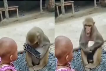 Monkey and girl funny video new arrivals