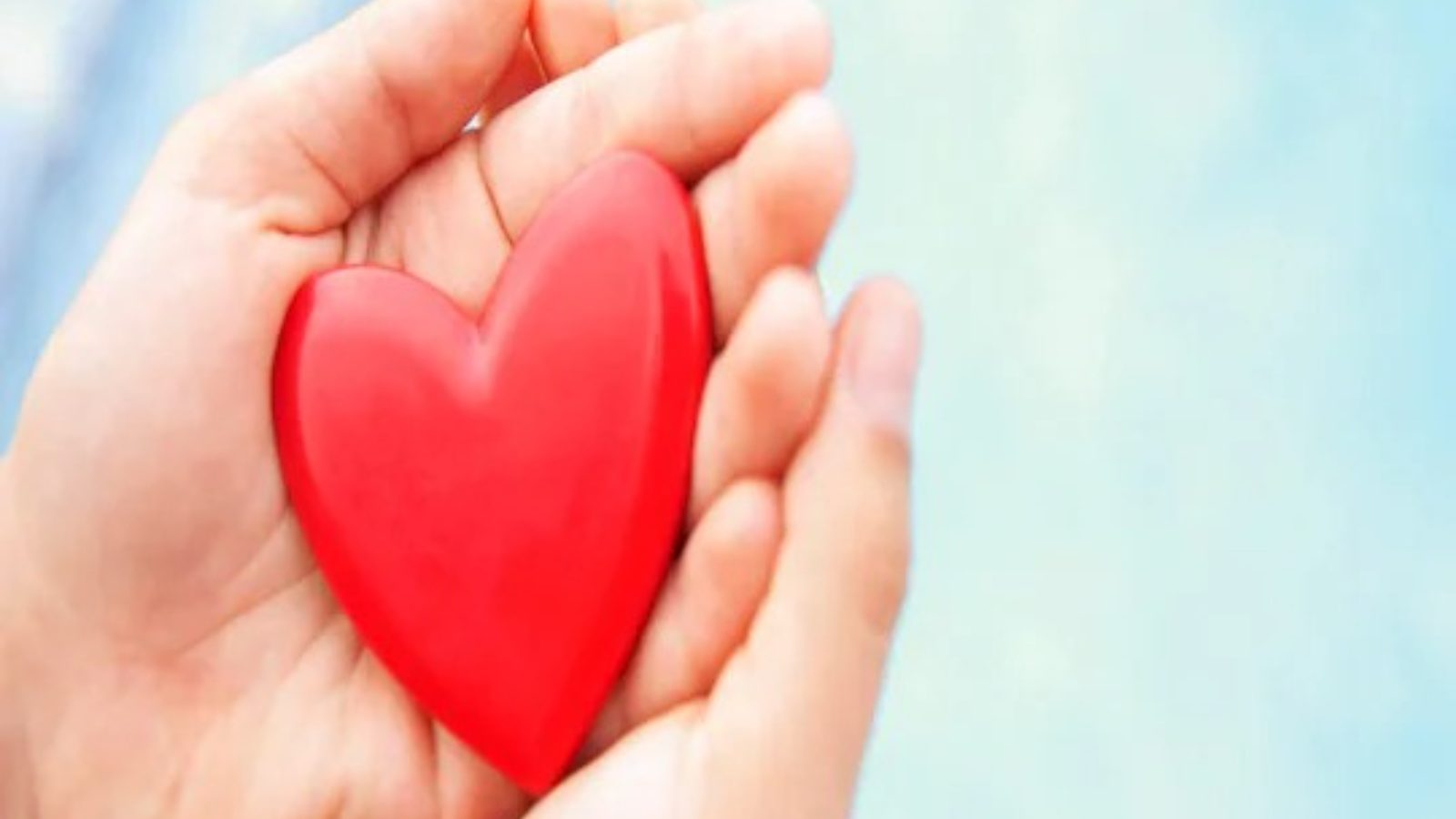 What is Love? Here Are Its Types and The Kind You Might Want ...