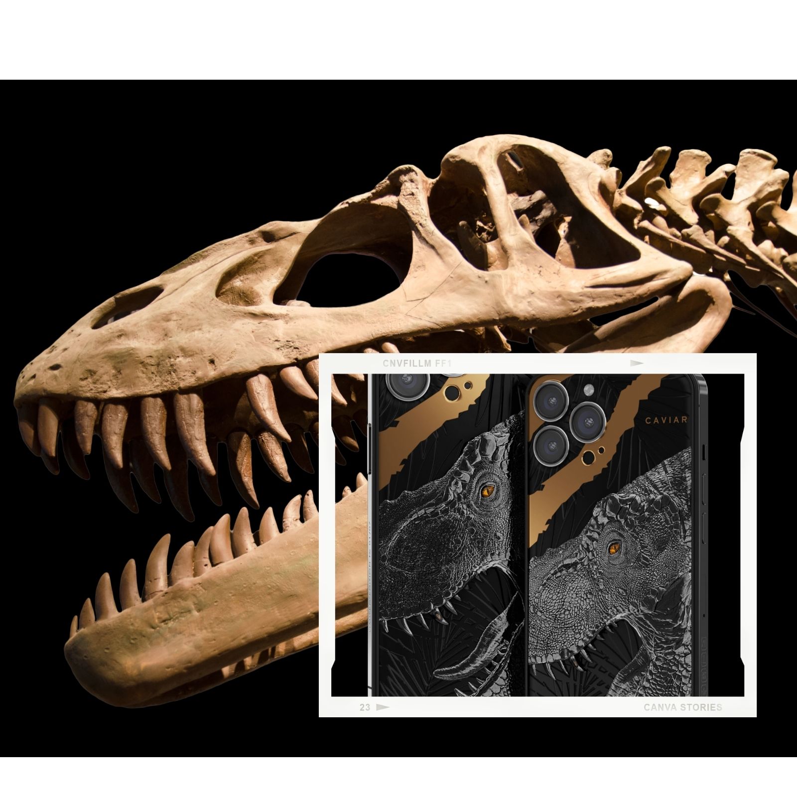 Which dinosaur had 500 teeth. Dinosaur has 500 Teeth. Dinosaur with 500 Teeth. Deo Rex зуб.