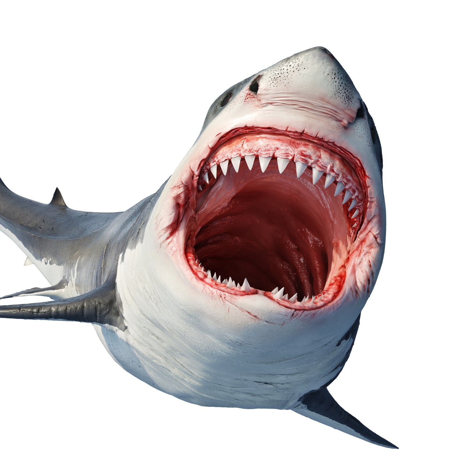 UK's 'Biologically Dead' River Thames is Now Home to Sharks, You've Been Warned UK's 'Biologically Dead' River Thames is Now Home to Sharks, You've Been Warned