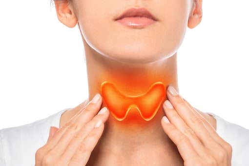 Thyroid is a butterfly-shaped gland present at the base of the neck. If the gland doesn’t function properly, it can cause swelling in the gland and can result in two conditions – hypothyroidism and hyperthyroidism (Image: Shutterstock)