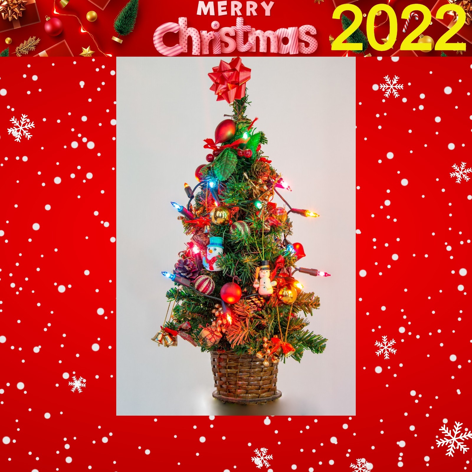 merry christmas greeting card 2022