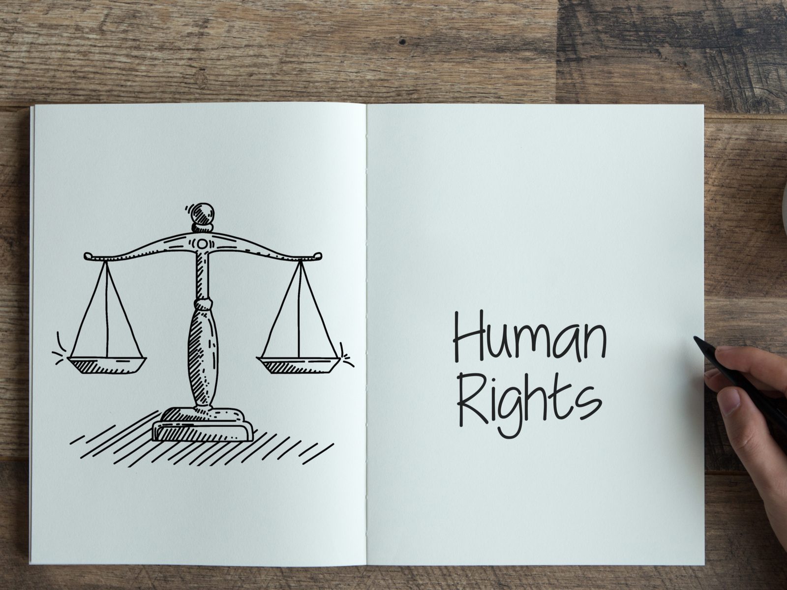 egoisme Kvittering Rettelse Human Rights Day 2021: What Are The 10 Basic Human Rights One Must Know? -  News18