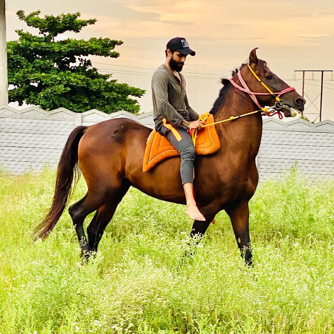 Hadeja Riders Happy Birthday Ravindra Jadeja: Check Out Team India Cricketer’s Best ...