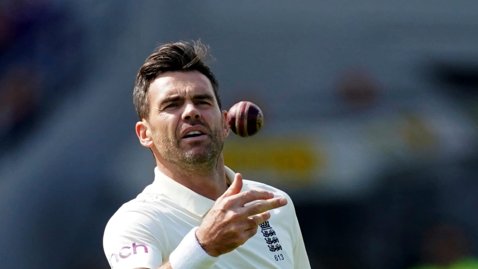 Ashes 2015: James Anderson injury ruins England's finest hour | The  Independent | The Independent