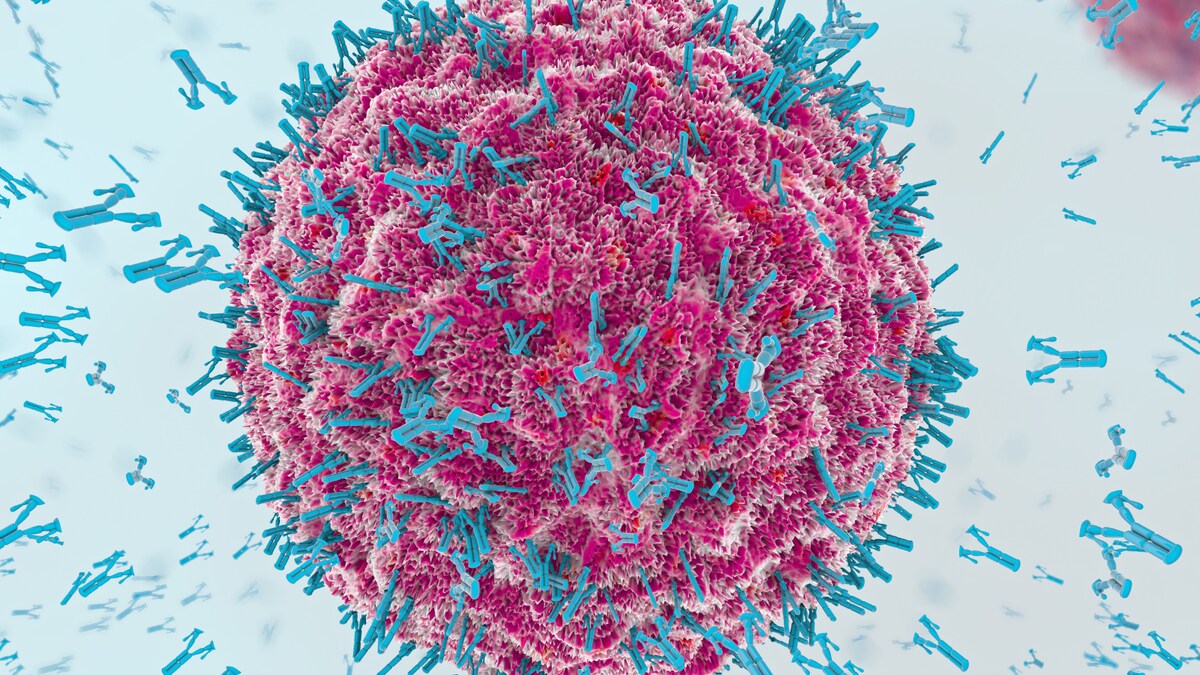 Breakthrough Infections Generate Strong Immunity to Covid-19 Variants: Study