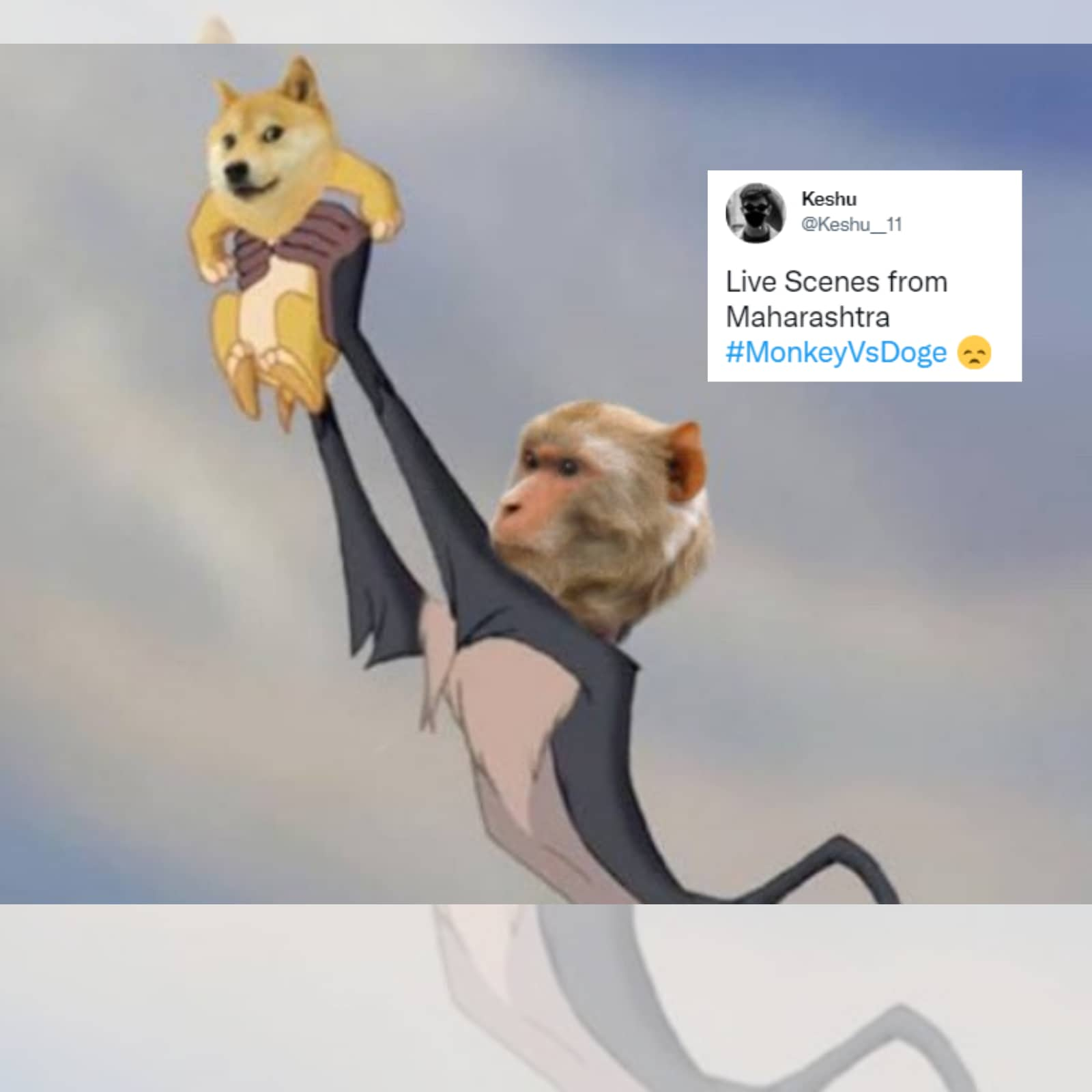 Monkey vs Doge' gang war in Maharashtra triggers meme fest