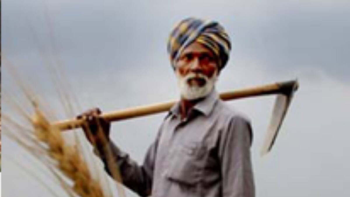 PM Kisan 11th Installment: Check Beneficiary Status; Haven't Received? What You Should Do