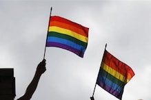 'Don't Say Gay:' Sex Education Fuels US Culture Wars