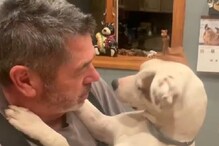 WATCH: Adopted Pup Gives Nose Boops to New Hooman Owner in Viral Video