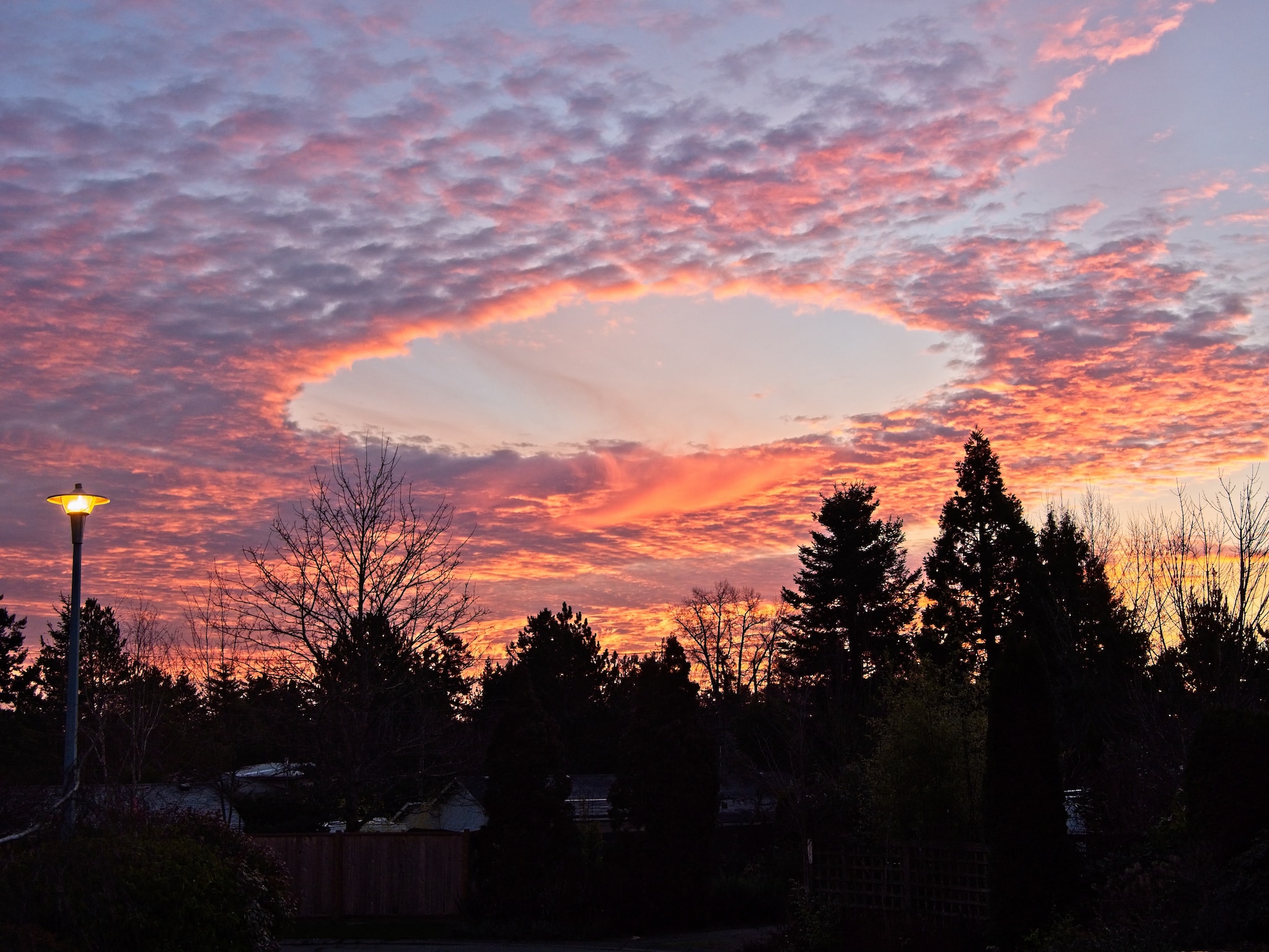 In Photos: UFO, Shelf and Mammatus Among the Rarest of Cloud Formations ...