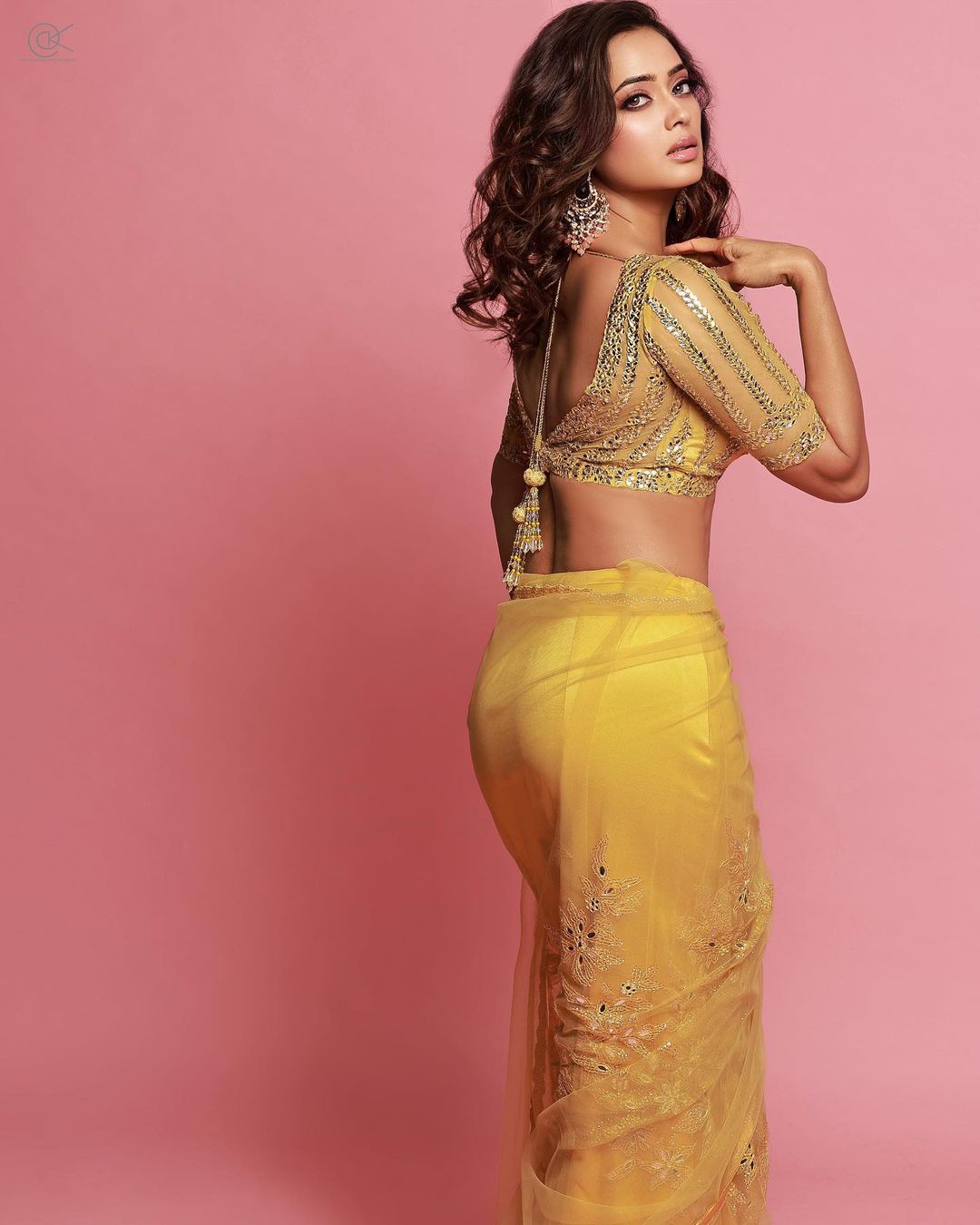 Shweta Tiwari's Sunshine Yellow Saree: A Masterclass in Grace and Glamour