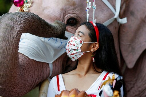 On Friday, Thailand discovered 7,526 new coronavirus cases. (Image: REUTERS)