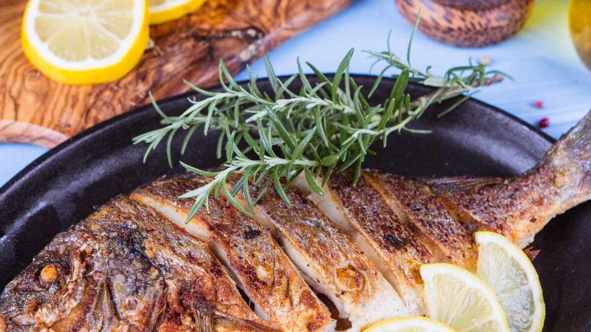 Return of the Zombie Dead Fish Back to Life' on Pan to Haunt its Fryer News18