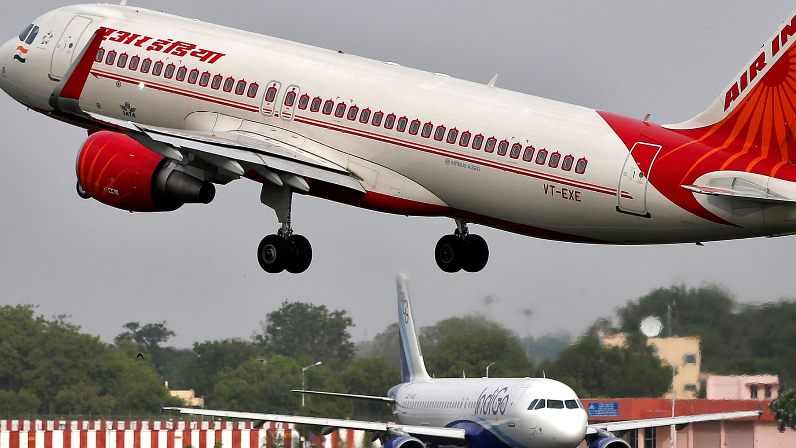 air india cabin bolsa