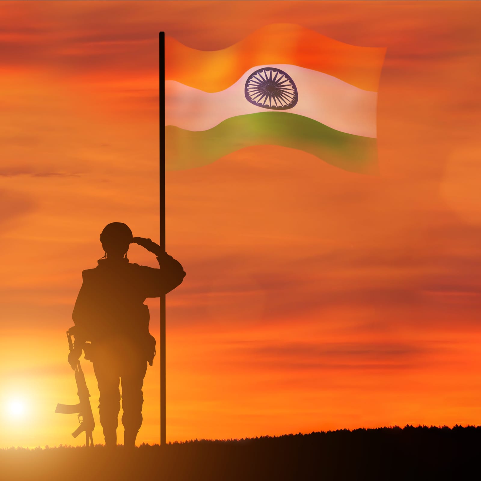 Armed Forces Veterans Day 2022: History, Significance and All You