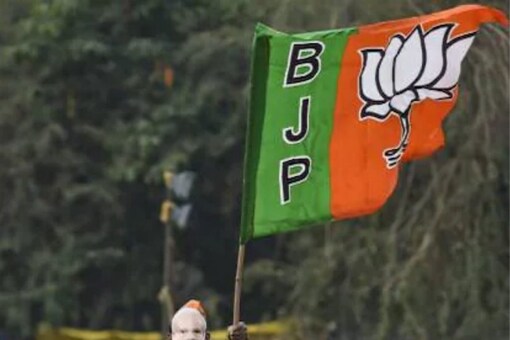 In 2007, BJP won all seven; in 2017 though Mehsana was the epicentre of Patidar movement, BJP won five of the seven seats. (Image: PTI/File)