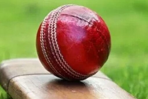 A file image of cricket bat and ball. (IANS Image)